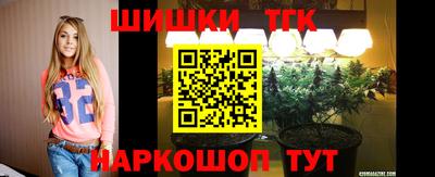шишки Ачхой-Мартан