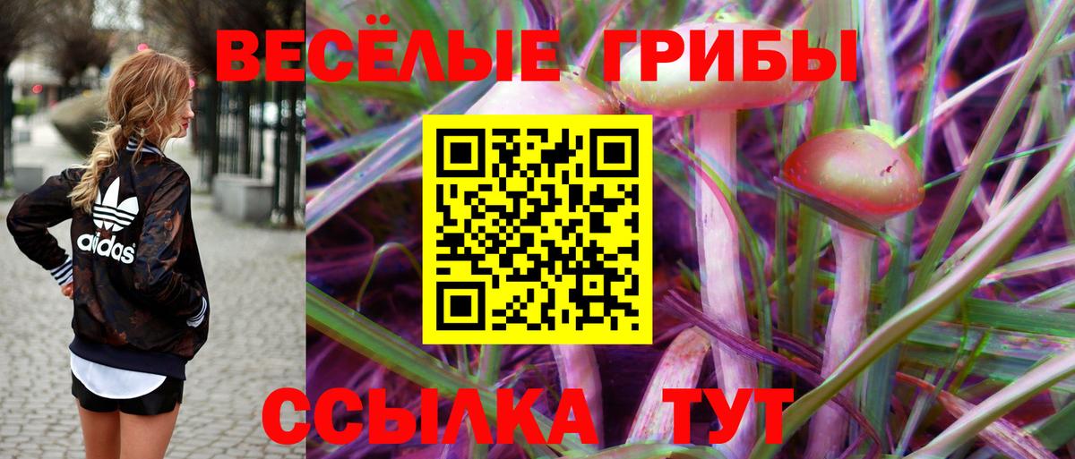 Сланцы  наркошоп  Вход с VPN  Галлюциногенные грибы MAGIC MUSHROOMS 